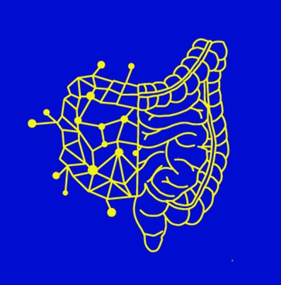 GIC-quAI logo